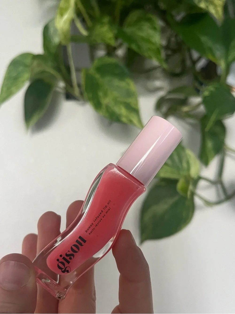 Brand New Honey Infused Lip Oil - Raspberry Swirl - Sheer Cool Pink